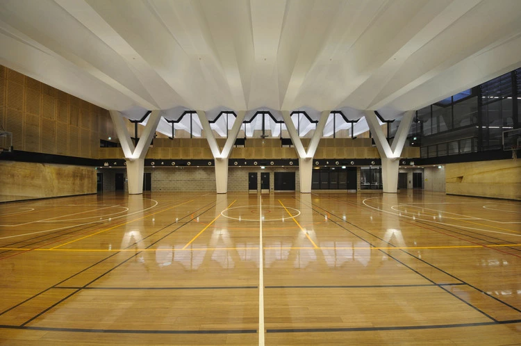 الصالة متعددة الاستخدامات